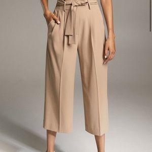 Aritzia Babaton Culotte in Dionysus